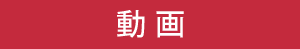 動画結果へ